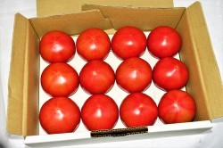 増田園芸のぜいたくトマト　1kg