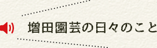 増田園芸の日々のこと