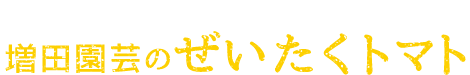 トマト好きの方に食べていただきたい増田園芸のぜいたくトマト